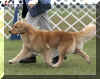 Largo move Brooks 2007 (2).jpg (3524497 bytes)