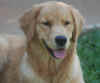 Lucille 7.5 months 2.JPG (110716 bytes)