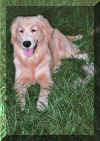 noble 8 months.jpg (355700 bytes)
